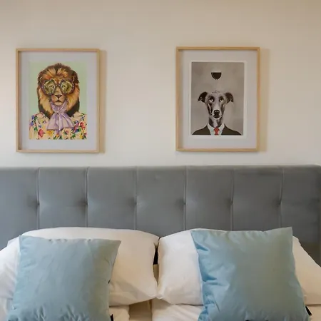 Mewa Surfingbird Daire