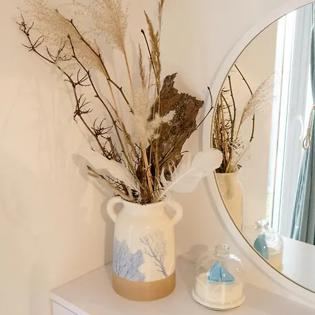 Mewa Surfingbird Daire *