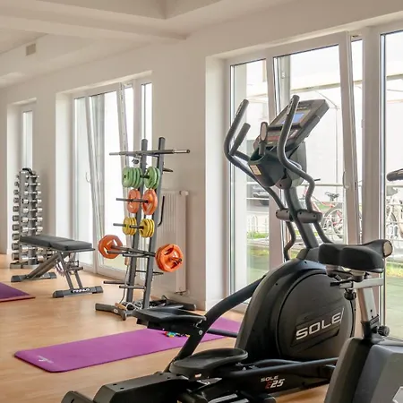 Mewa Surfingbird * Kolobrzeg